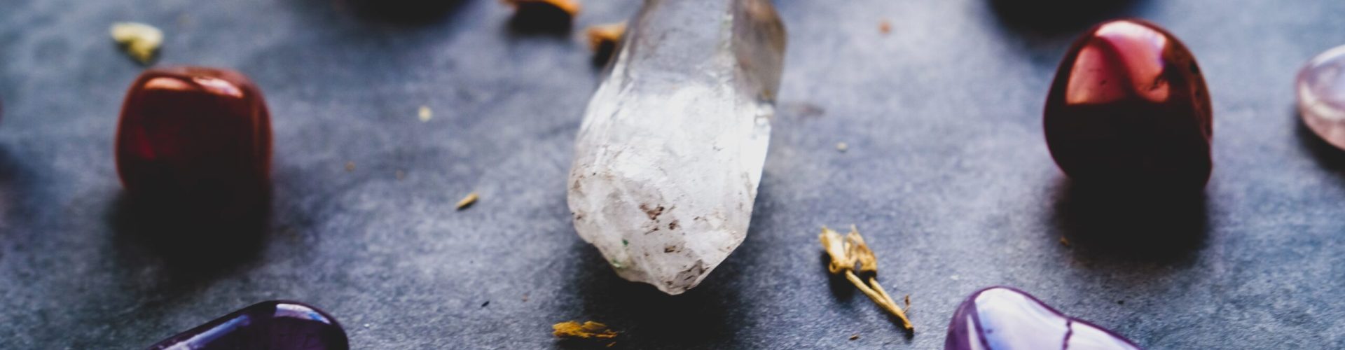 dan-farrell-qayNP9ccw9E-unsplash